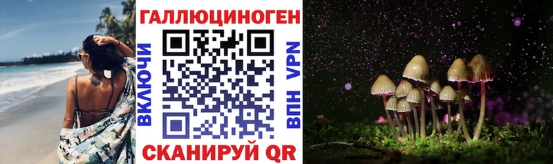 omg ONION  Хилок  Псилоцибиновые грибы Psilocybine cubensis 